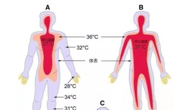 工業(yè)紅外測溫儀-便攜式熱成像測溫儀能用于體溫檢測嗎？