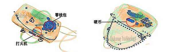 X光機(jī)圖像識別